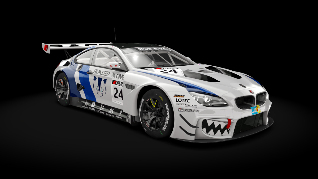 BMW M6 GT3 Preview Image
